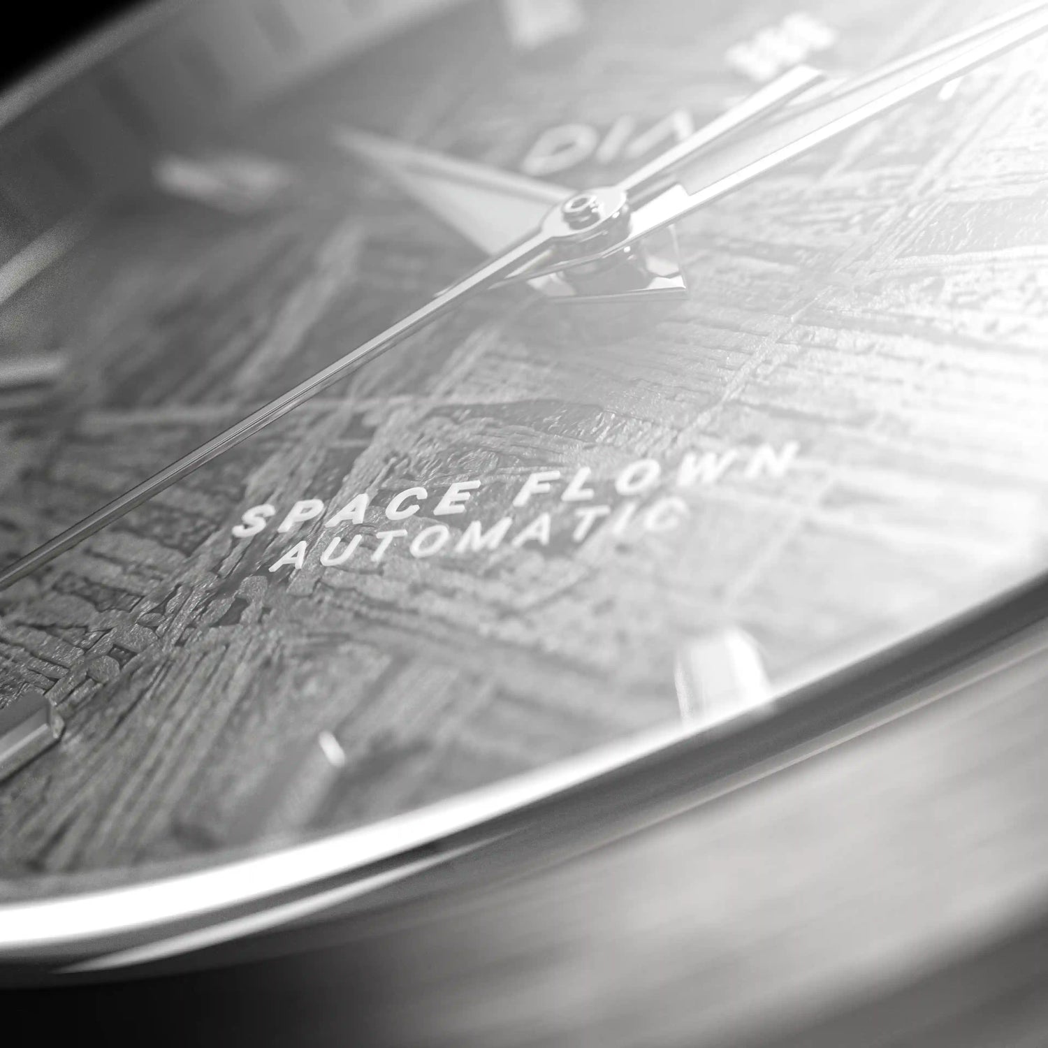Grey Meteorite Watch macro shot
