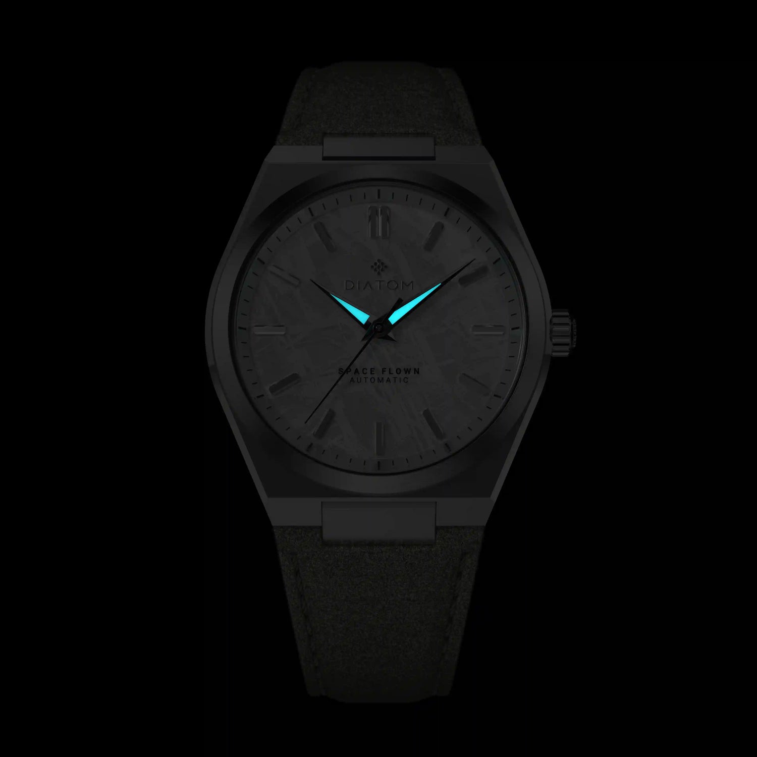 White Meteorite Watch Lume