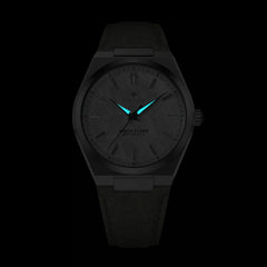 White Meteorite Watch Lume
