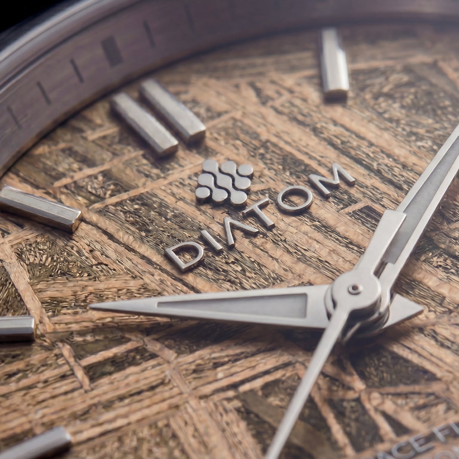 Brown Meteorite Dial Watch macro shot