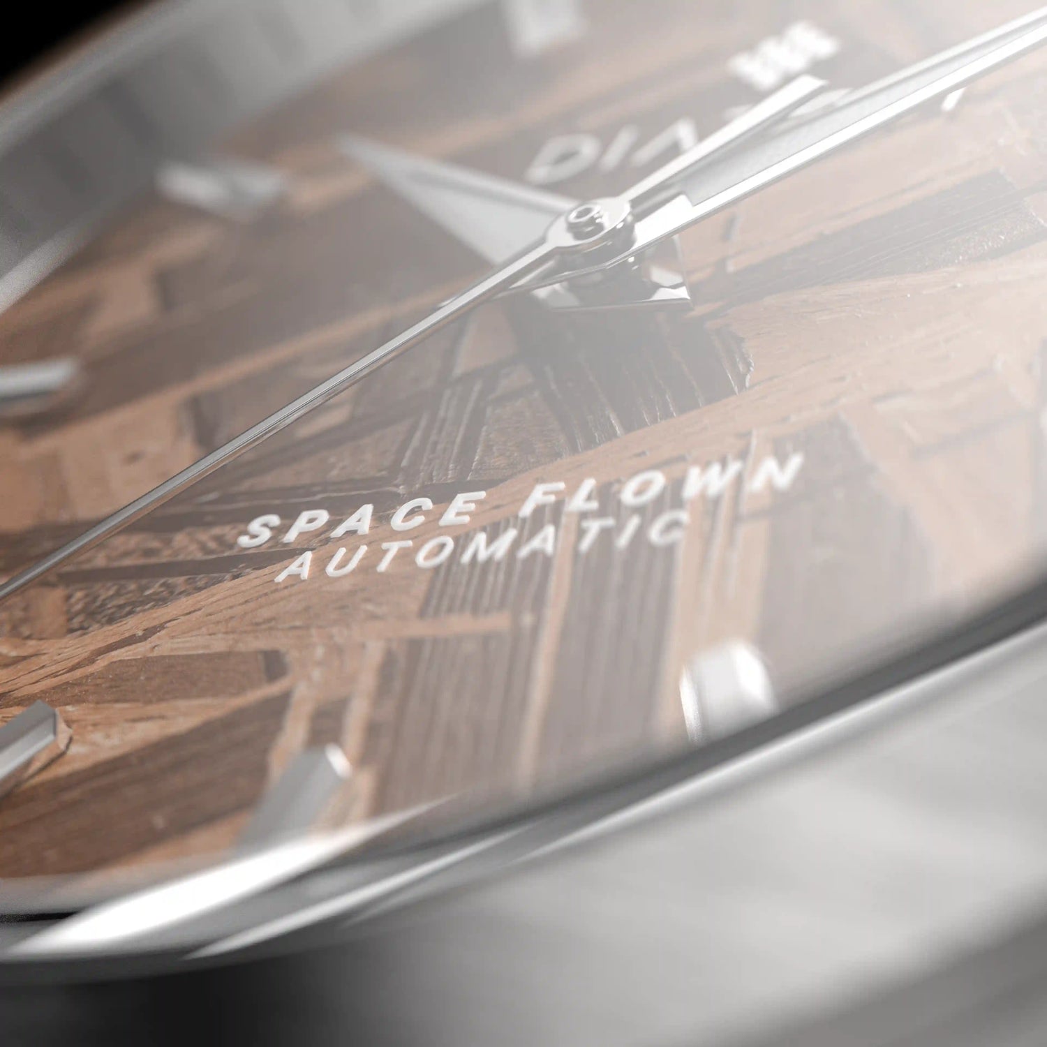 Brown Meteorite Watch Macro shot