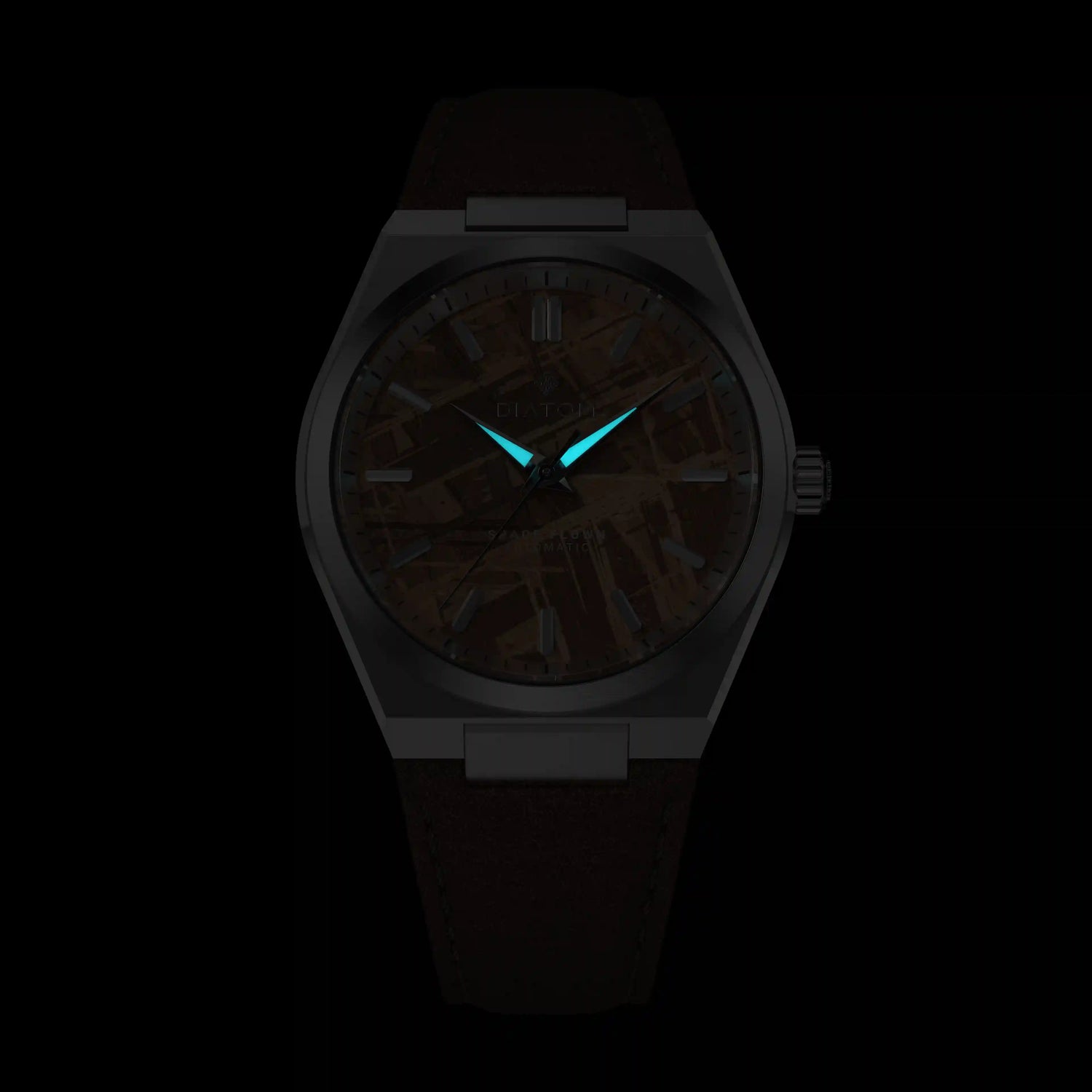 Brown Meteorite Dial Watch Lume