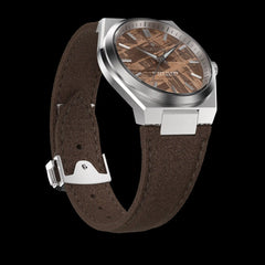 Brown Meteorite Watch