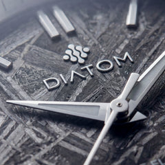 Grey Meteorite Watch macro shot